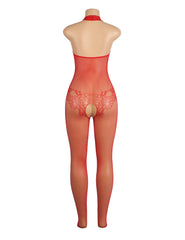 Lace and Fishnet Turtleneck Bodystocking