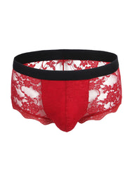 Sexy Lace See Through Men Underwear